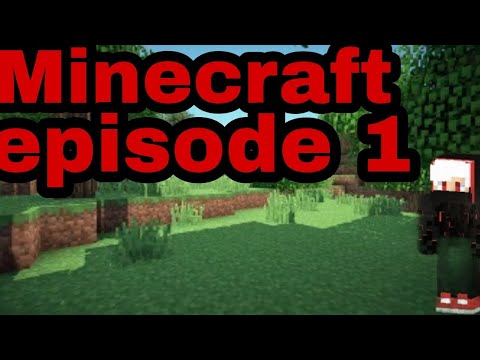 Minecraft episode #1  სახლის მონახაზიც კი გვაქვს